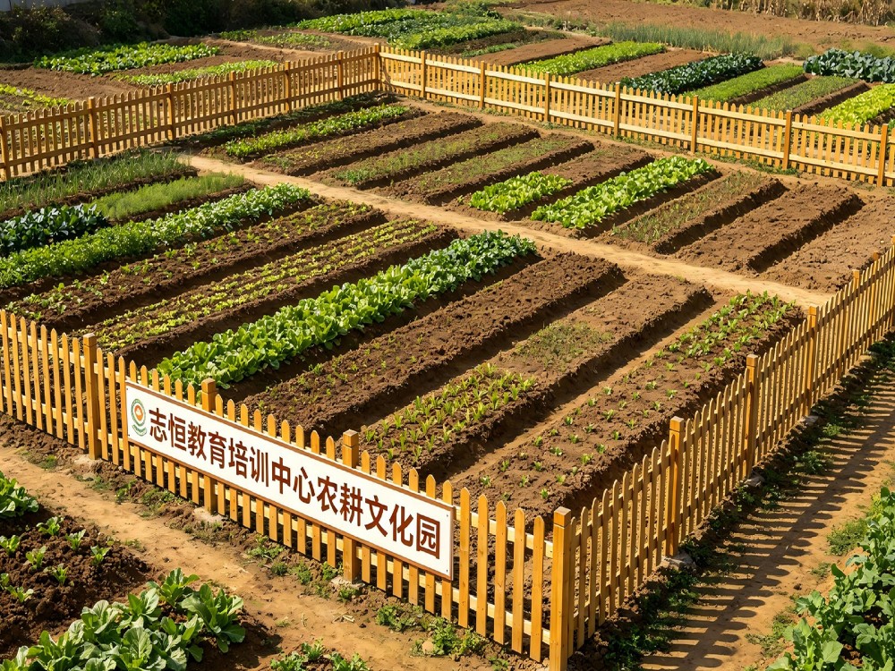 枣庄正规青少年全封闭管教学校怎么联系